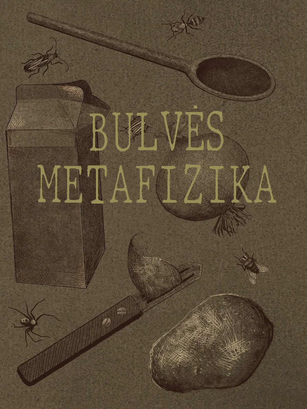  BULVĖS METAFIZIKA